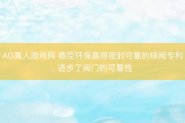 AG真人游戏网 鼎臣环保赢得密封可靠的球阀专利， 进步了阀门的可靠性