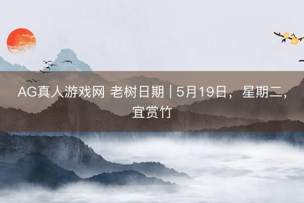 AG真人游戏网 老树日期 | 5月19日，星期二，宜赏竹