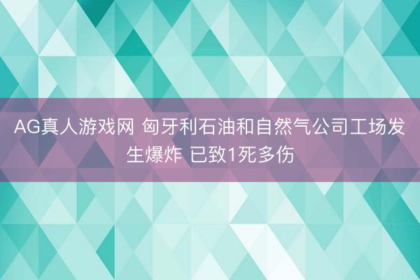 AG真人游戏网 匈牙利石油和自然气公司工场发生爆炸 已致1死多伤