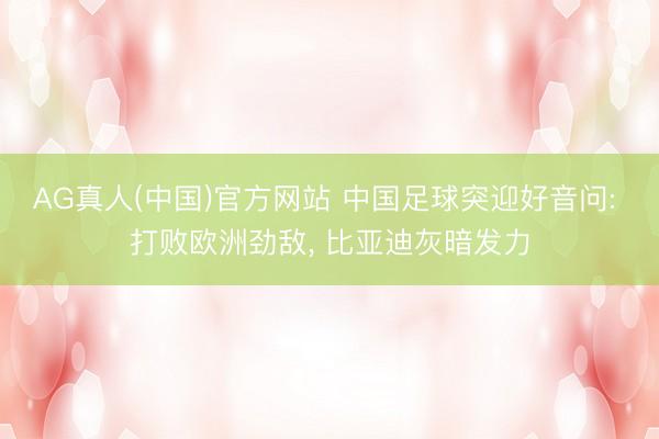 AG真人(中国)官方网站 中国足球突迎好音问: 打败欧洲劲敌， 比亚迪灰暗发力