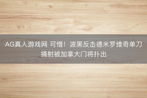 AG真人游戏网 可惜！波黑反击德米罗维奇单刀捅射被加拿大门将扑出