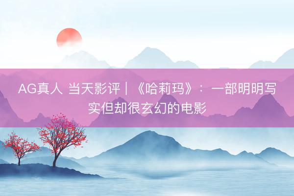 AG真人 当天影评 | 《哈莉玛》：一部明明写实但却很玄幻的电影