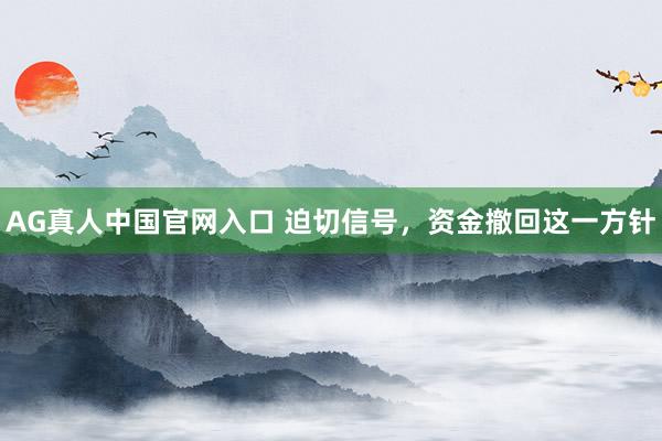 AG真人中国官网入口 迫切信号，资金撤回这一方针